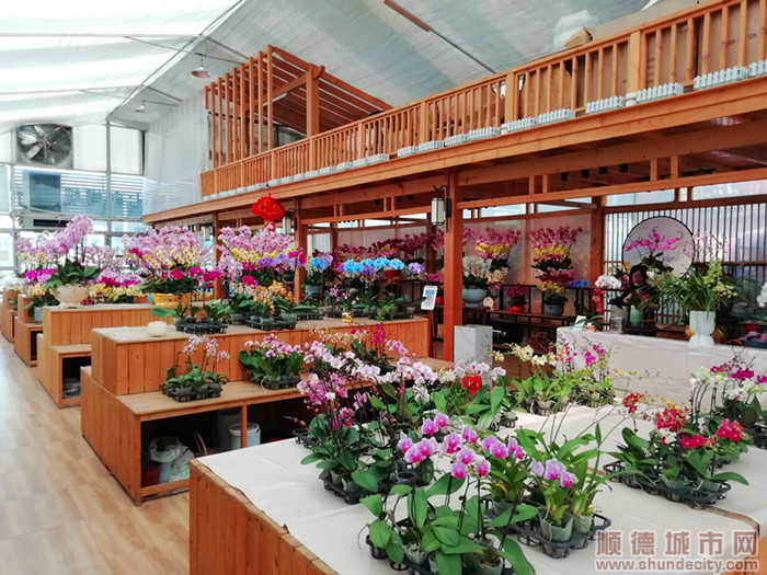 花卉世界（ljw发仔）.jpg