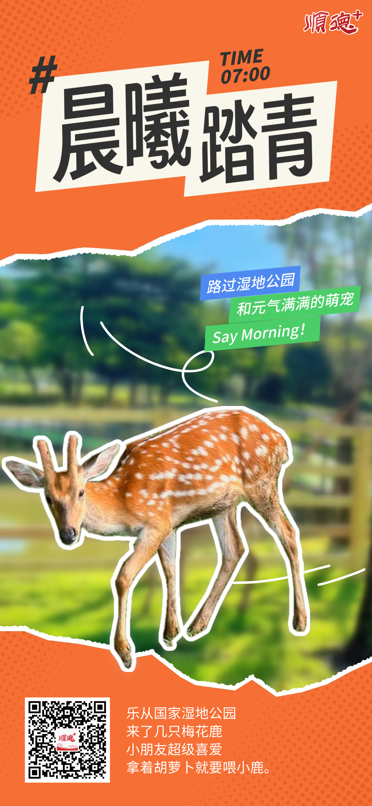 稿定设计-1.jpg