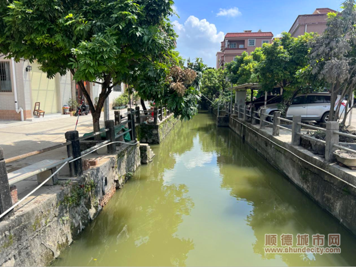 岳步南头银桂路北侧黑臭河涌整治后。.png
