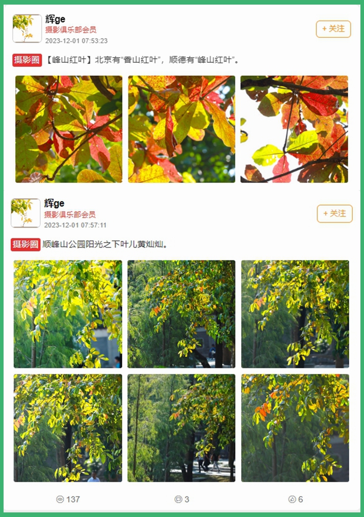 微信截图_20231201142604.jpg