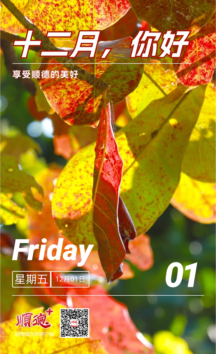 稿定设计-3.jpg