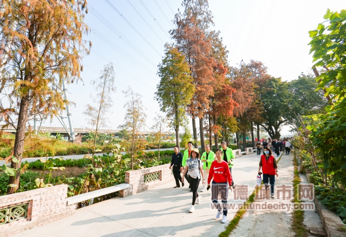 TG7A0232.JPG_tplv-9lv23dm2t1-image_副本.jpg