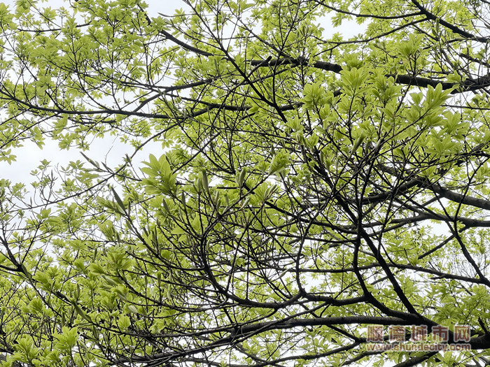 1489a202402271709001166776_副本.jpg