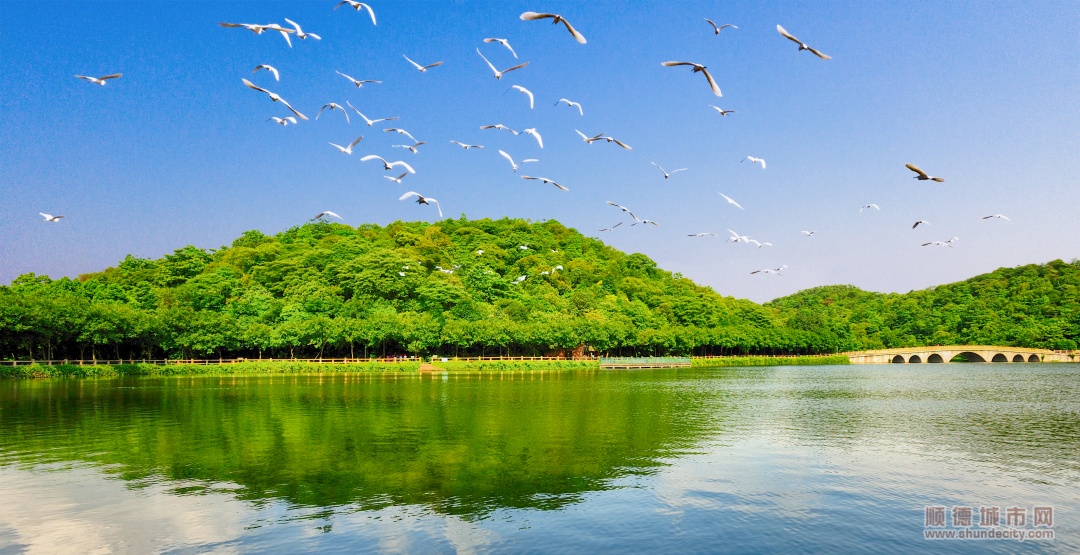 李小龙乐园-1-（甘培田）42 (3)_副本.jpg