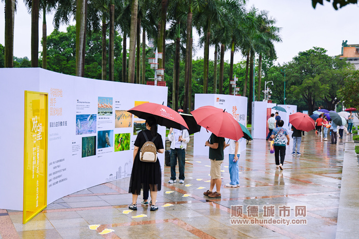 XYC_5675-opq816043994_副本.jpg