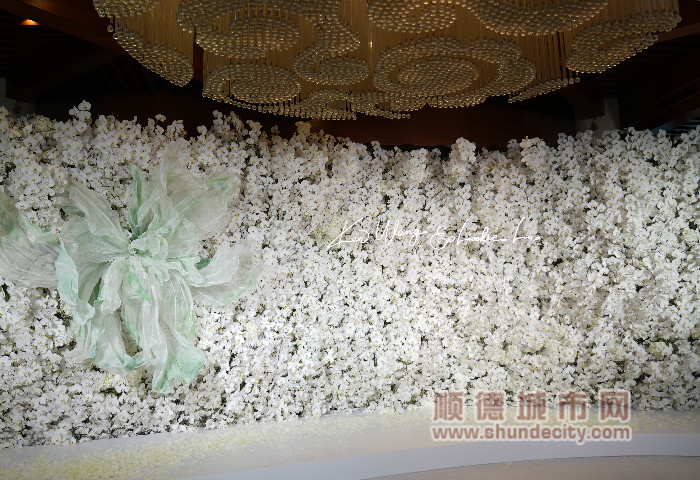 DSC08133_副本.jpg