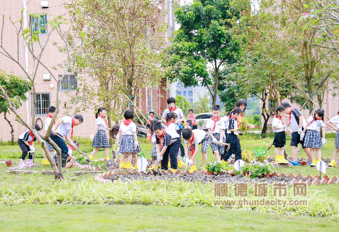 “青少年绿美小院”种植活动4_副本.jpg
