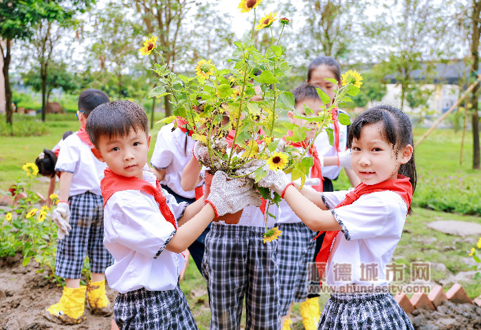 “青少年绿美小院”种植活动5_副本.jpg