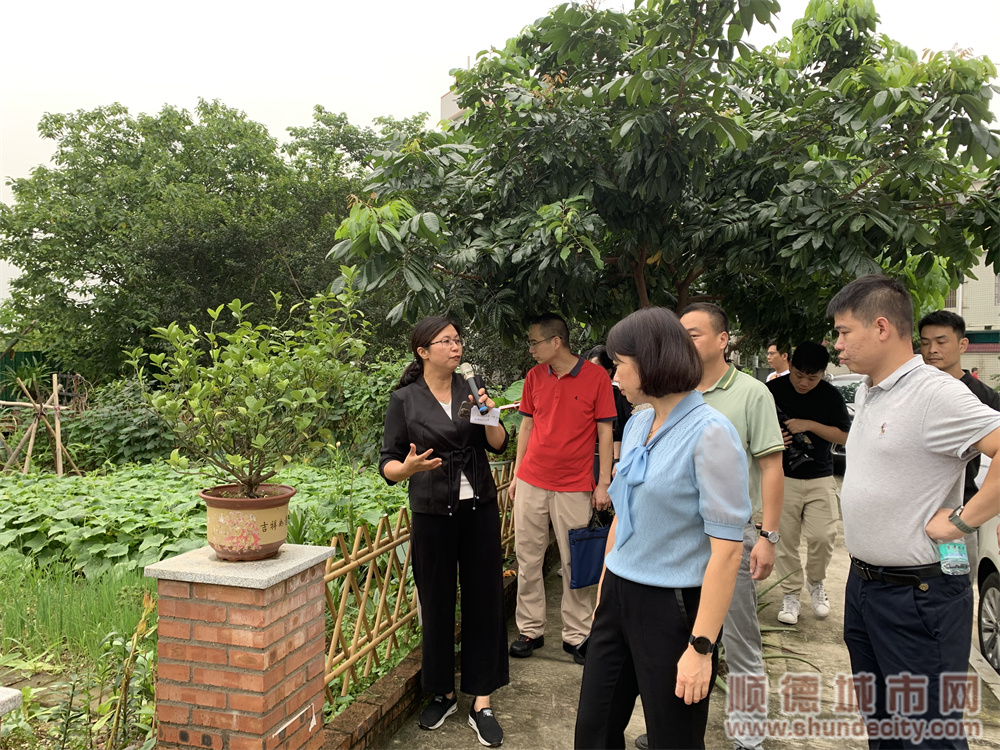 仕版村代表带领参会人员参观仕版绿美片区.jpg
