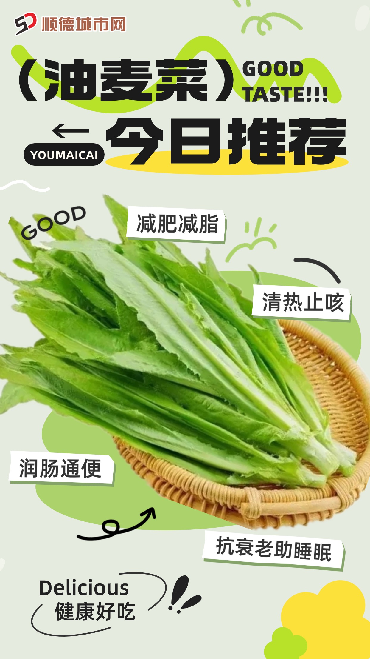油麦菜.jpg