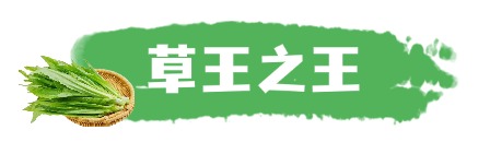 端午节动态文章标题可爱手绘粽子(1).jpg