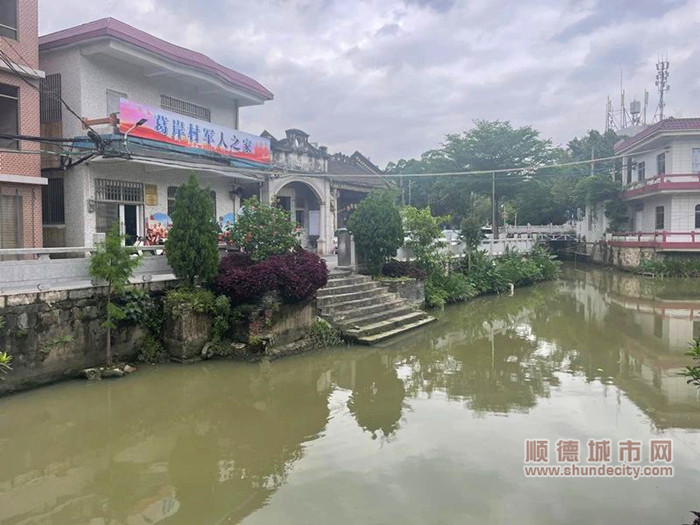 岑耀荣同志参与建设的河岸绿化带。.jpg