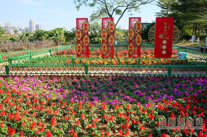 精品四小园。.jpg