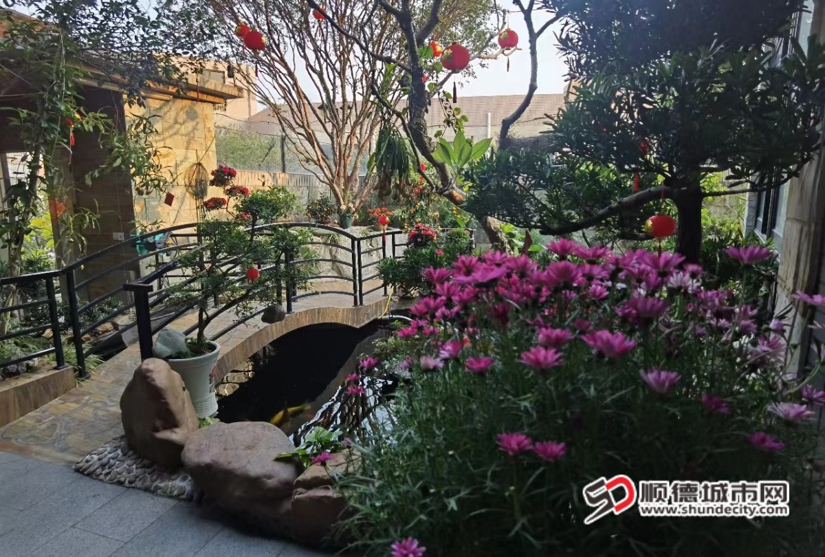 庭院全景_副本.jpg