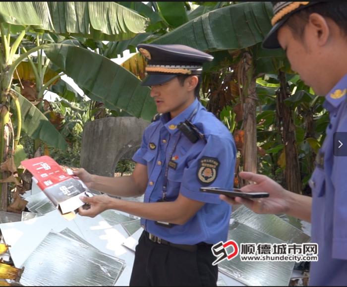 QQ20241010-220956_副本.png