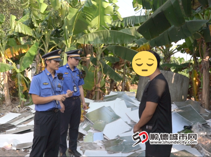 QQ20241010-22.png