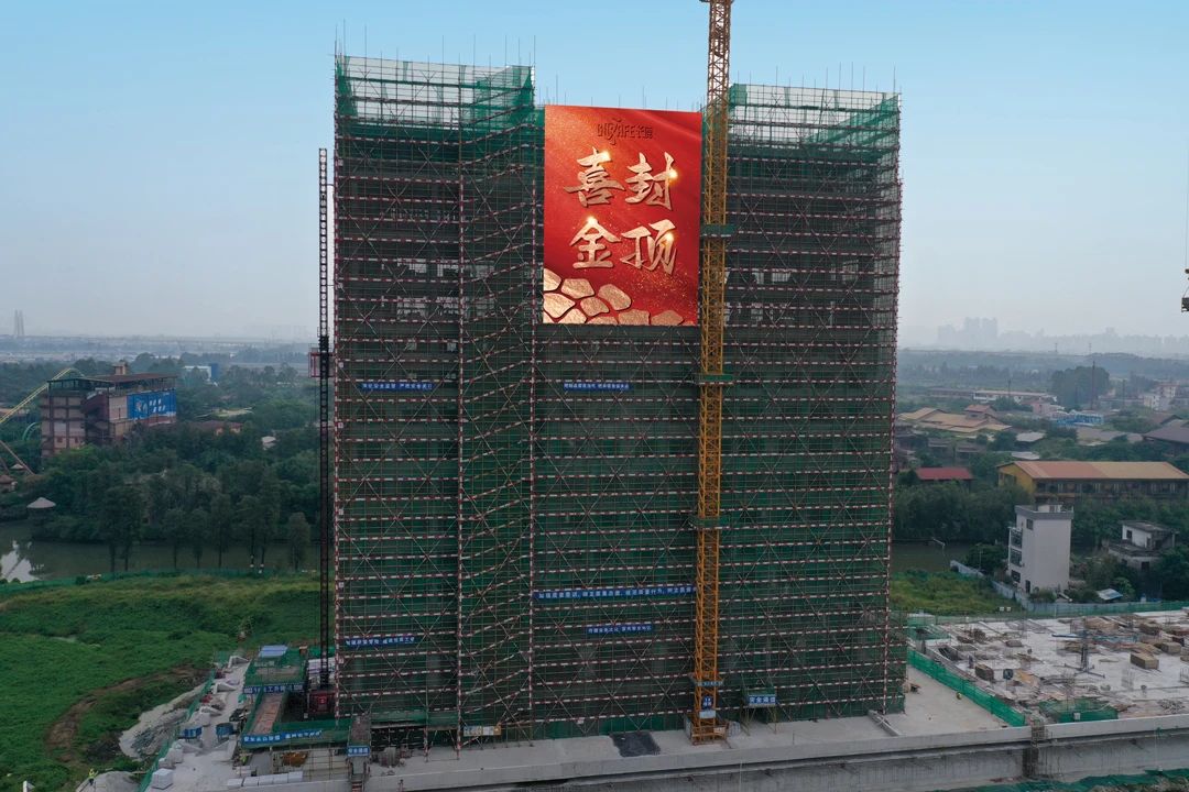 微信图片_20241111141551.jpg