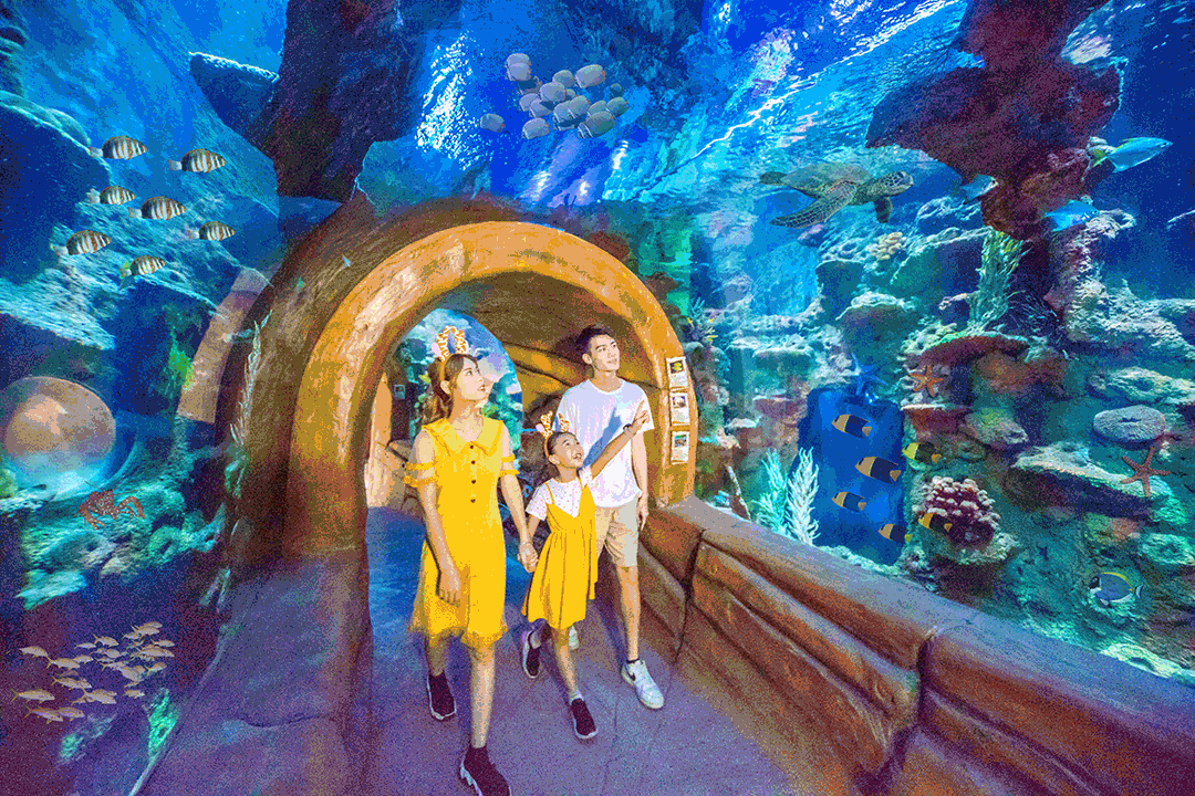 微信图片_20241111141618.gif