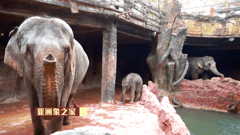 微信图片_20241111141708.gif