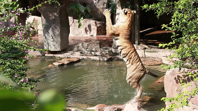 微信图片_20241111141704.gif