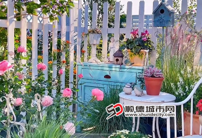 微信图片_20241116213940_副本.jpg