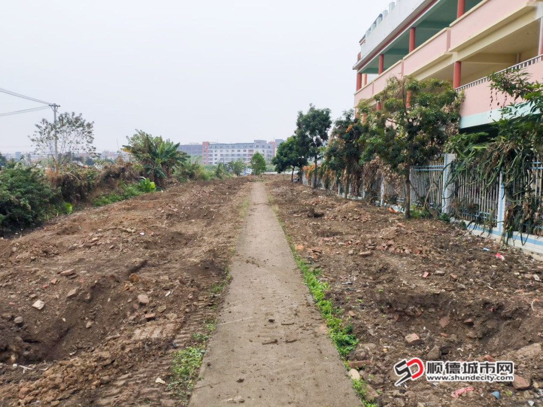 1-2024年沙头社区“绿美均安·奋战‘百千万’”乡村植树活动前_副本.png