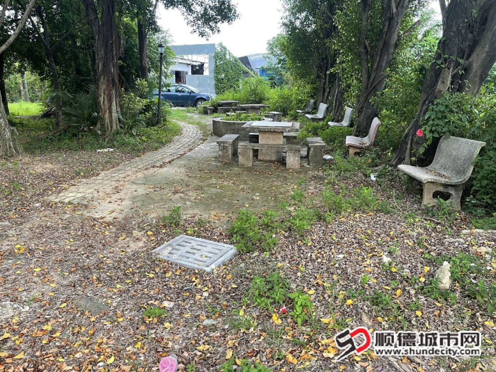 环境杂乱。年久失修_副本.jpg
