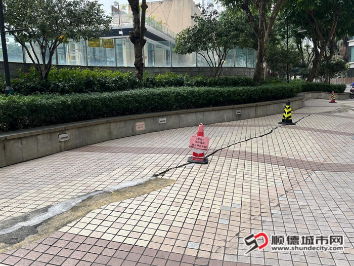 图片4_副本.png