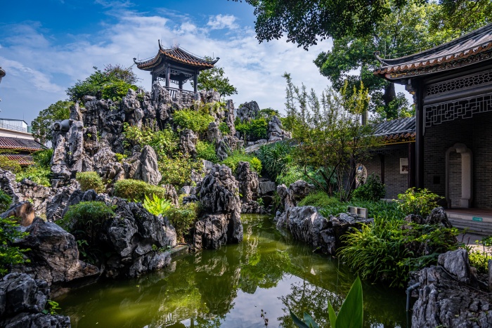 白莲公园马彦良.jpg