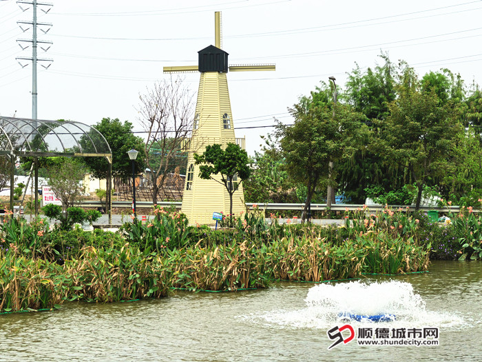 IMG_20241122_101740_副本.jpg