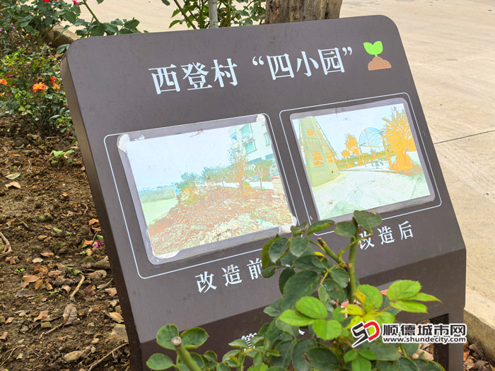 IMG_20241122_103722_副本.jpg