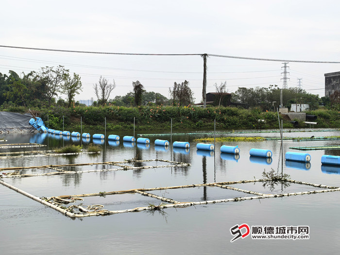 IMG_20241122_094143_副本.jpg