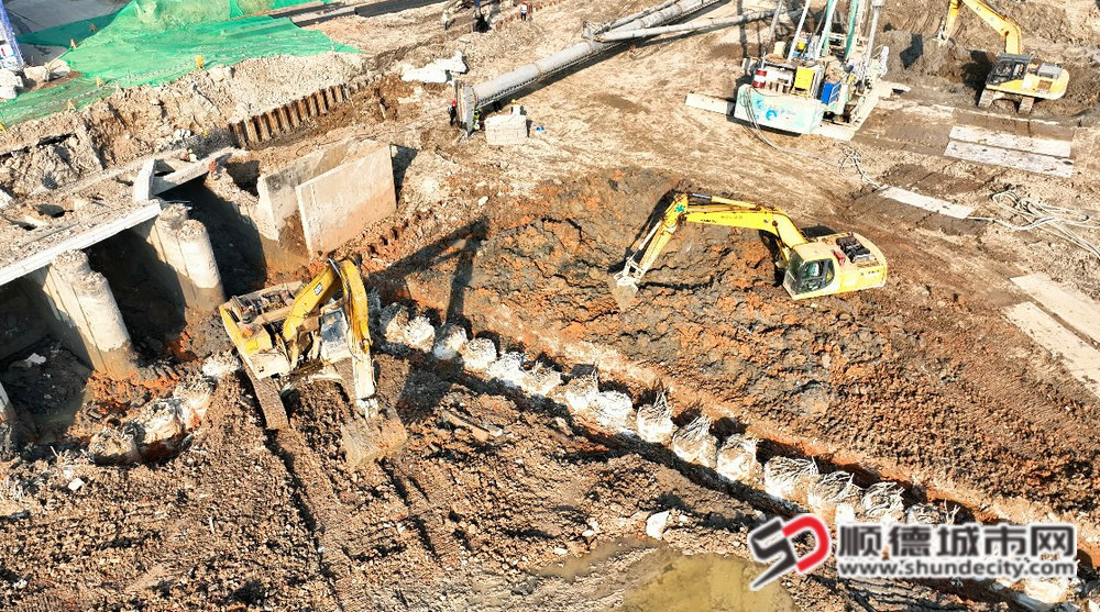 微信图片_20241205135000_副本.jpg