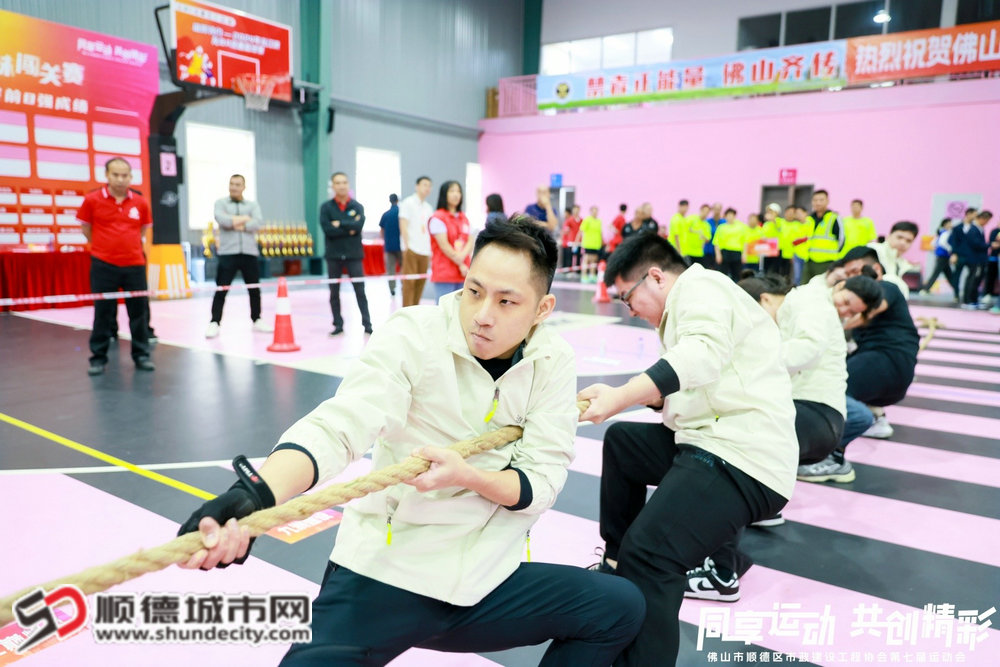 微信图片_20241208155856_副本.jpg