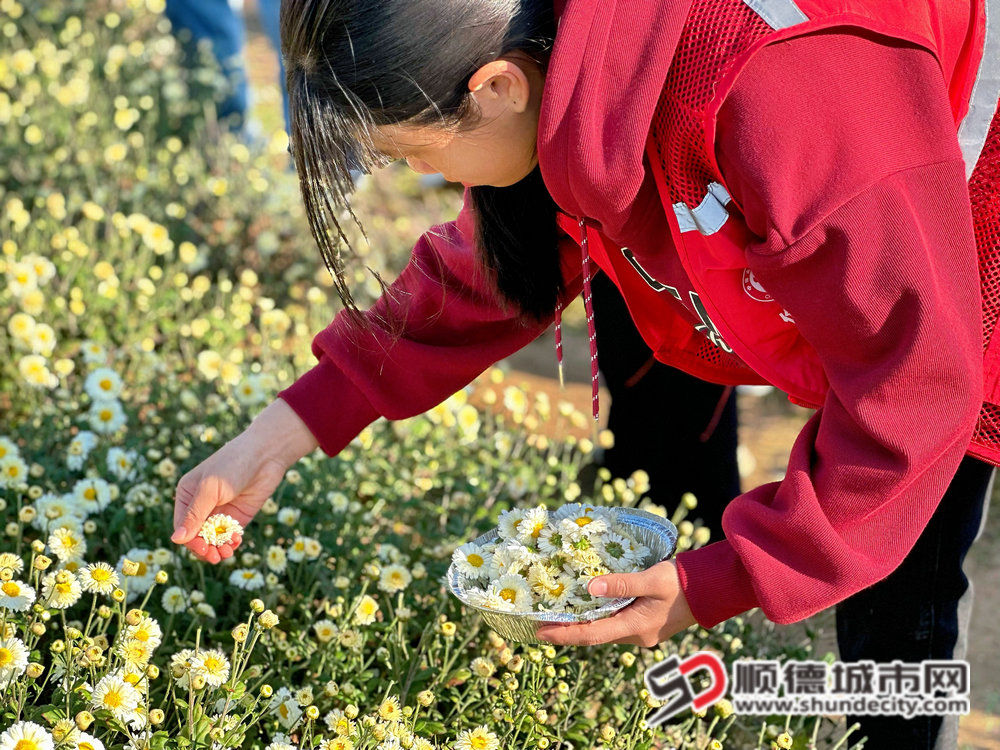 微信图片_20241221144440_副本.jpg