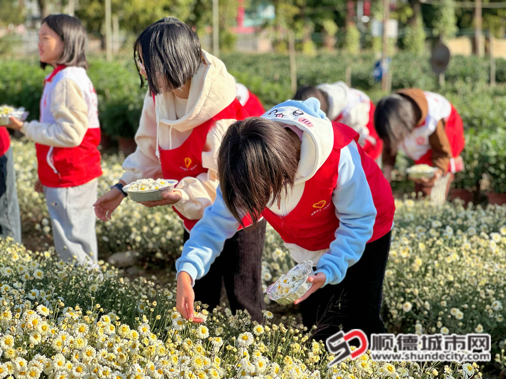 微信图片_20241221144454_副本.jpg