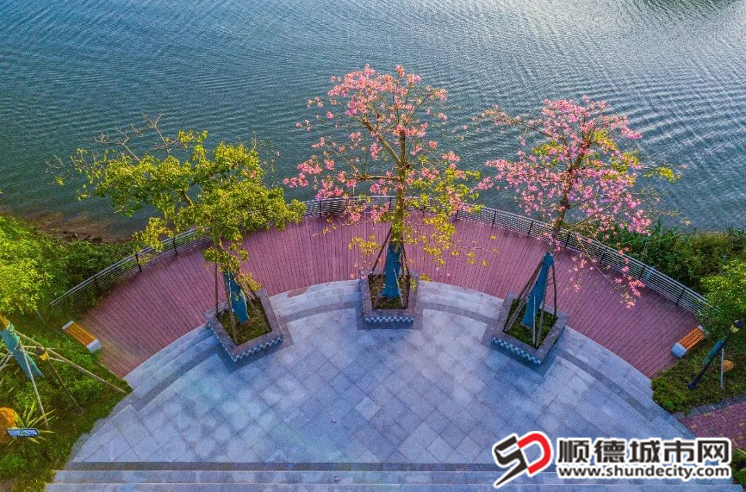 微信图片_20241222192246.jpg