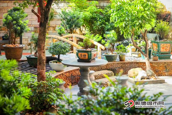 沙边村“美丽庭院”示范户一角。.jpg