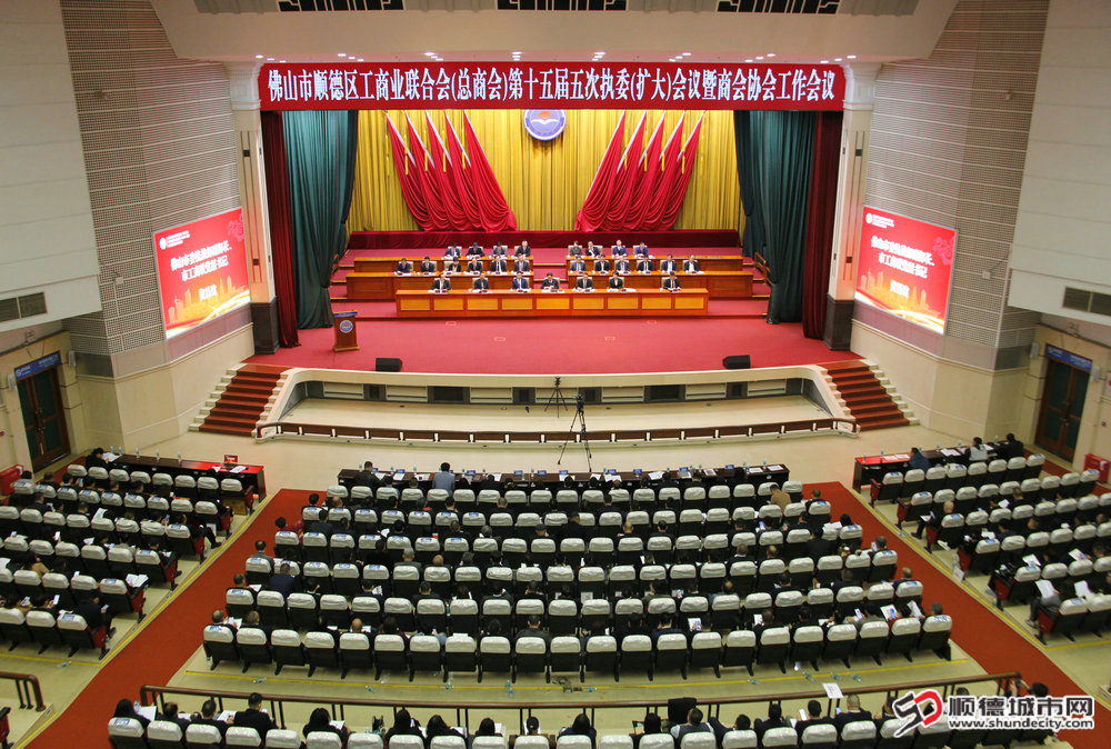 各界共同努力，顶住经济下行压力。.JPG