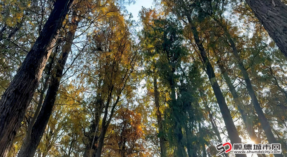 微信图片_20250104173245_副本.jpg