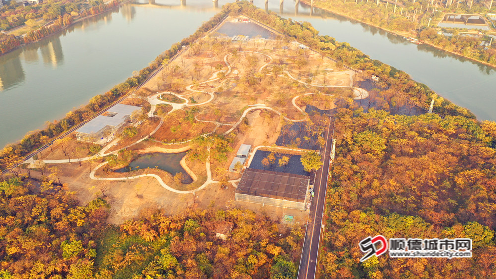 顺风岛引种园总览图。.jpg
