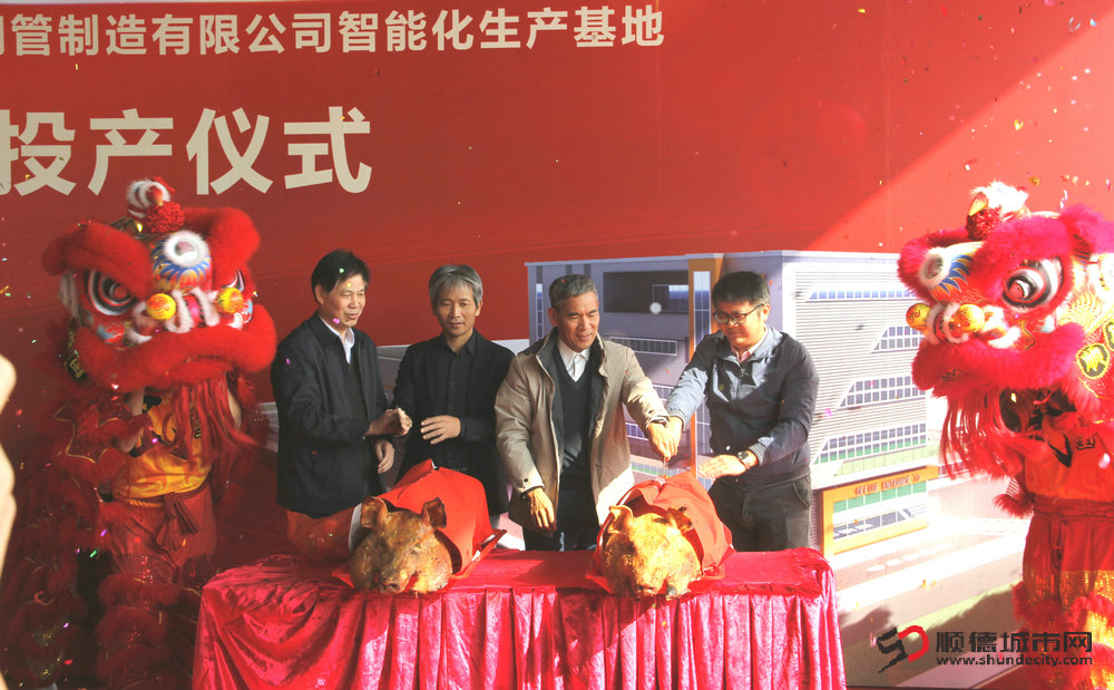 项目正式投产。.JPG