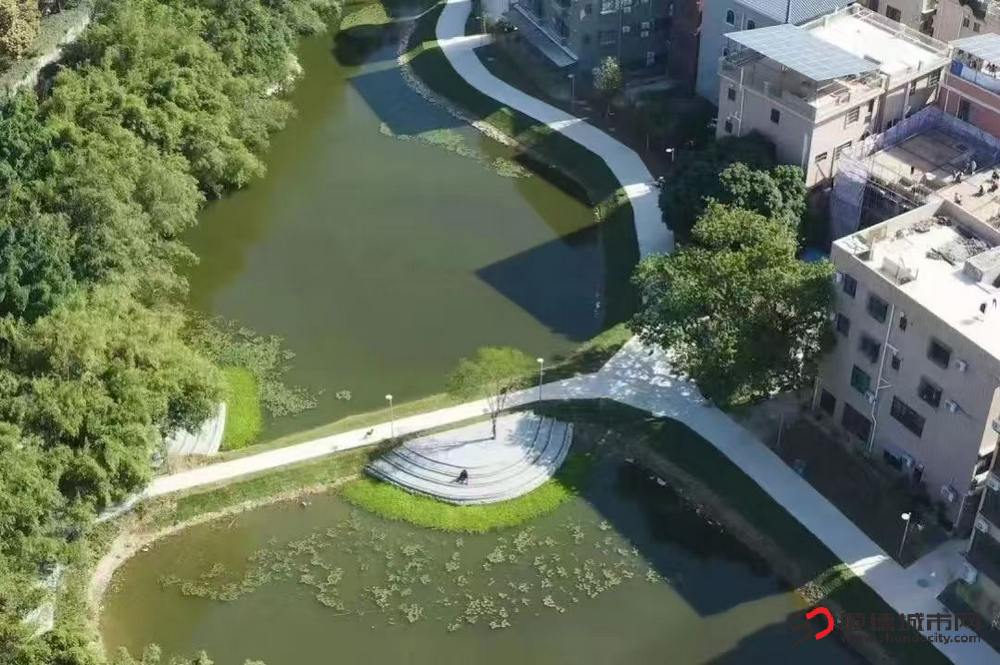 沙富美岸项目越来越美。.png