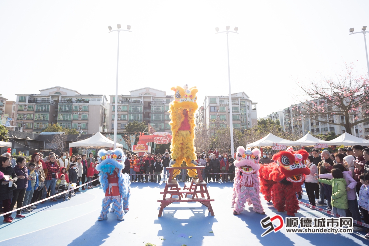 IMGC0751_副本.jpg