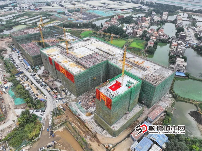 微信图片_20250211212716.jpg