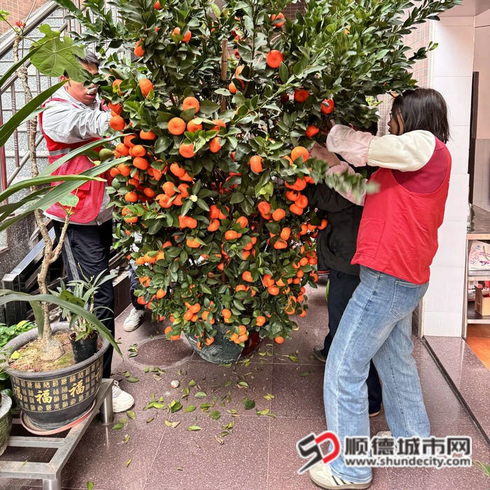 微信图片_20250225213651_副本.jpg