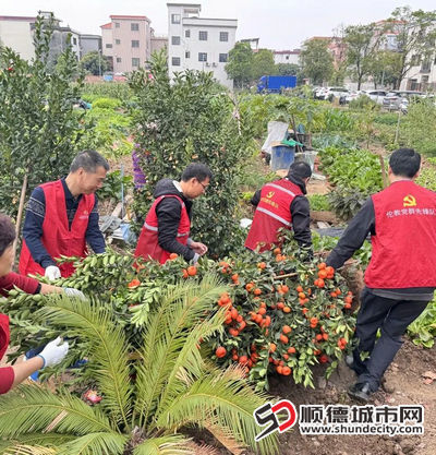 微信图片_20250225213641_副本.jpg