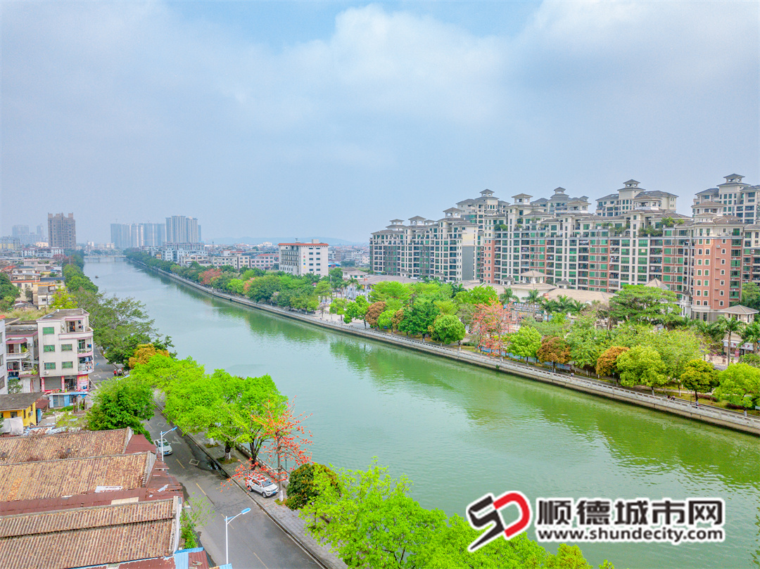 凫洲河风光-8.jpg