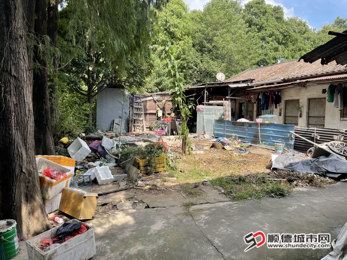 3月1日起 大良20个村居实现全域物业村居
