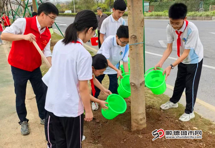 齐心协力种下一片绿。.jpg